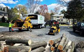 Best Commercial Tree Services  in Westlake Vlage, IL